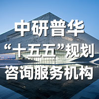 中研普华十五五规划